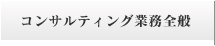 コンサルティング業務全般