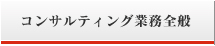 コンサルティング業務全般